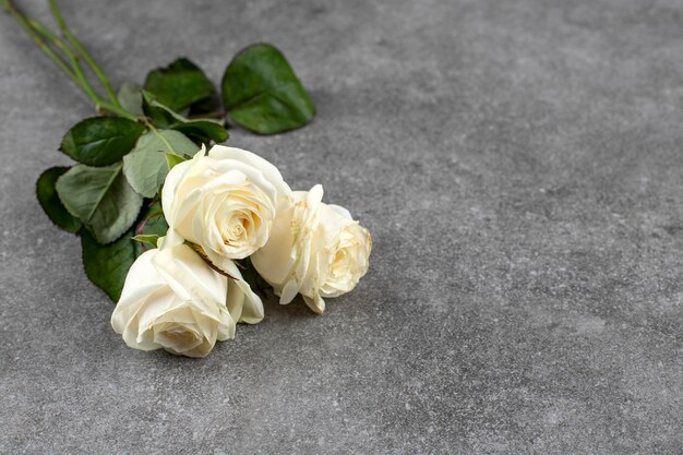 Beautiful bouquet of white roses placed on marble.