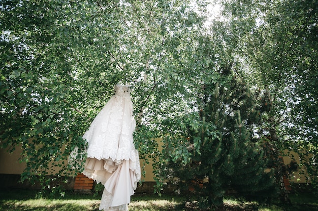 The beautiful bride dress hangs among the trees