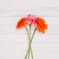 Free photo beautiful bright flowers on table