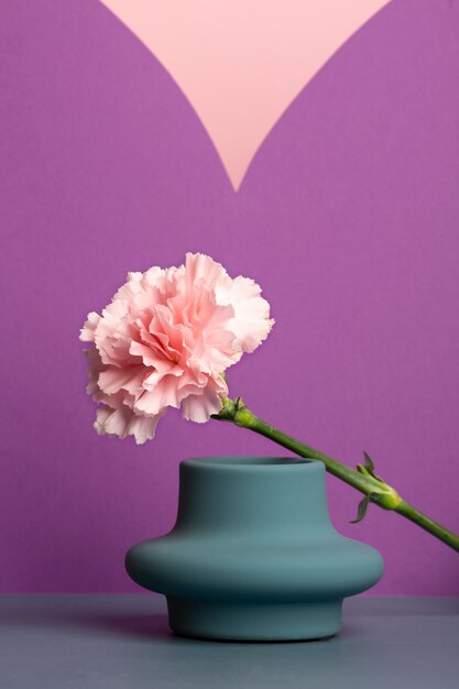 Beautiful carnation with vase spring wallpaper