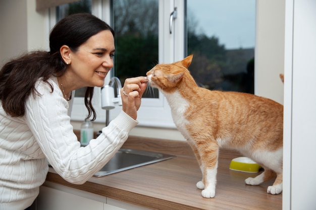 Beautiful cat at home