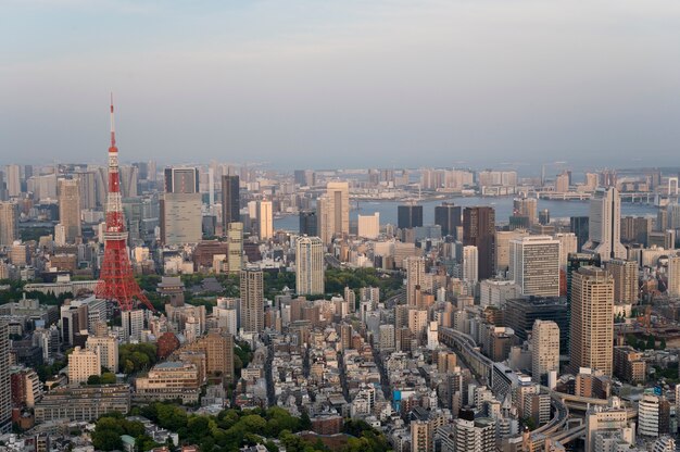 Beautiful city buildings daytime high angle