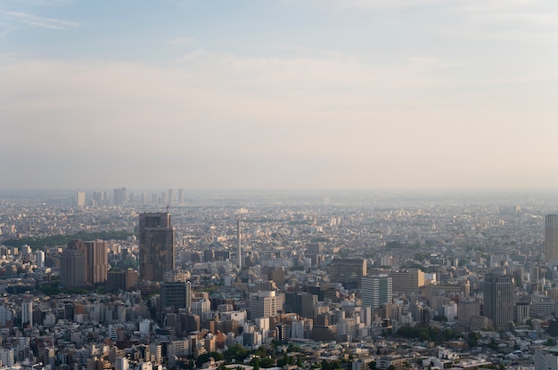 Beautiful city buildings daytime with fog