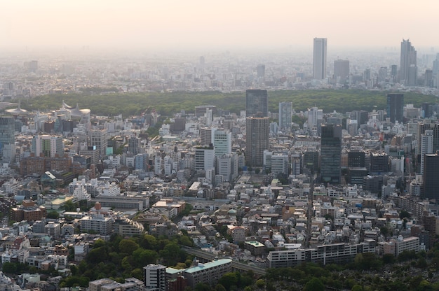 Beautiful city buildings high angle