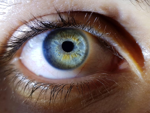 Free photo beautiful closeup shot of a female human's deep blue eyes