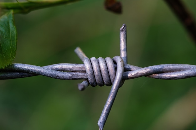 Free photo beautiful closeup shot of a grey barbed wire