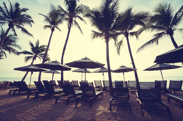 Beautiful coconut palm tree on the beach and sea