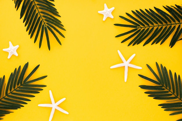 Beautiful composition with palm leaves and starfishes on yellow background