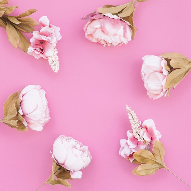 beautiful composition with roses on pink background