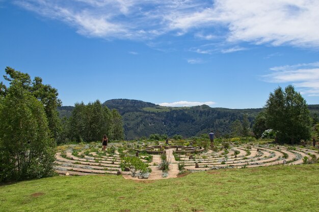 Beautiful concrete maze surrounded by grass covered fields and trees