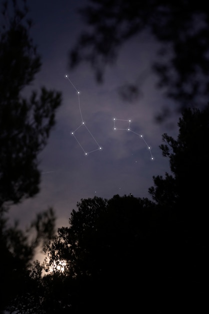 Free Photo beautiful constellations with trees