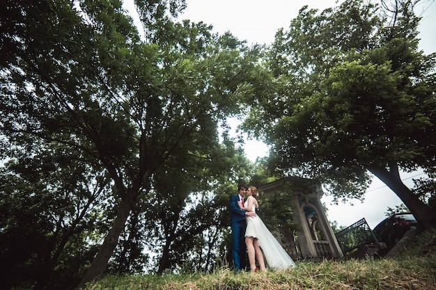 Free Photo beautiful couple in the park