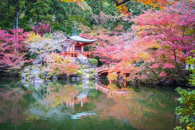 Free photo beautiful daigoji temple with colorful tree and leaf in autumn season