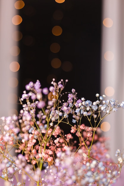 Free Photo beautiful decoration cute little dried colorful flowers on dark black, wallpaper.