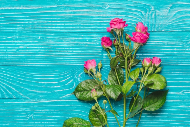 Beautiful decorative flowers on wooden surface