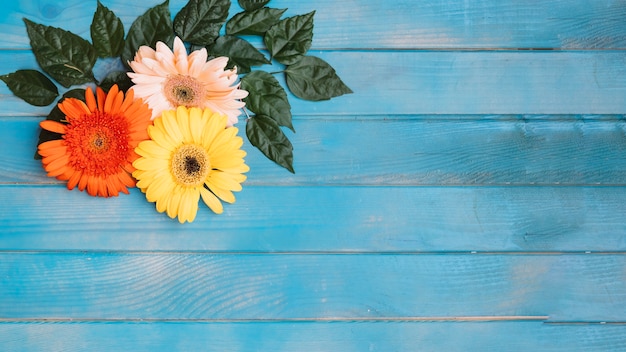 Free photo beautiful different flowers placed on table