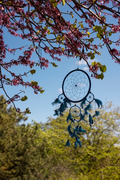 Free Photo beautiful dream catcher outdoors