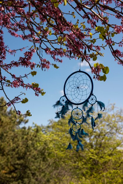 Beautiful dream catcher outdoors