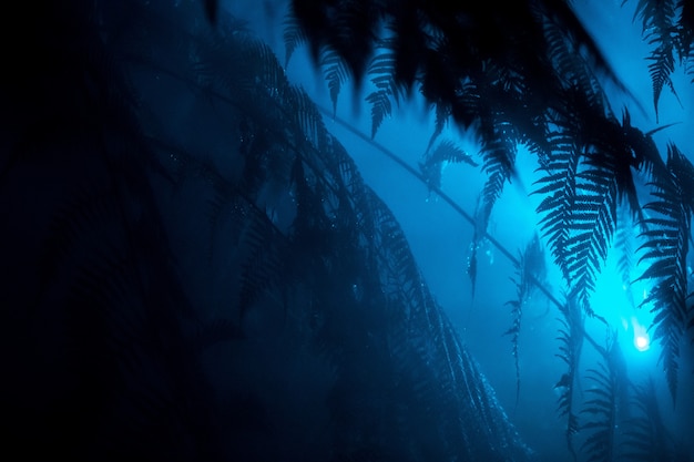 Free photo beautiful exotic leaves in a tropical forest with a blue light shining near