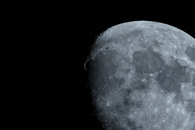 Free Photo beautiful extreme closeup shot of the half-moon