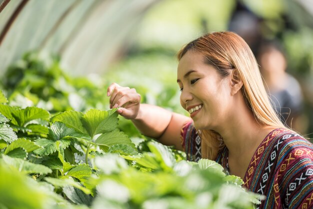 Beautiful farmer woman checking strawberry farm