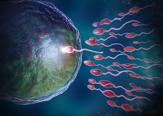 Beautiful fertility concept in 3d rendering