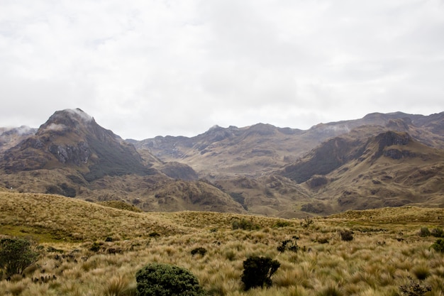 Free photo beautiful field with amazing rocky mountains and hills and amazing cloudy sky