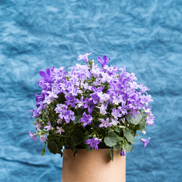 Free Photo beautiful floral still life