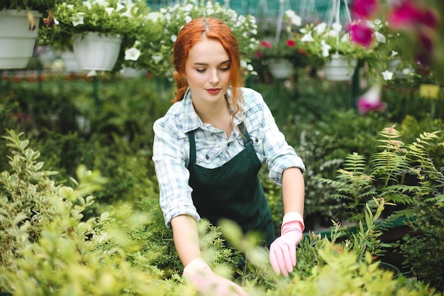 Beautiful florist in apron and pink gloves thoughtfully working with plants in greenhouse