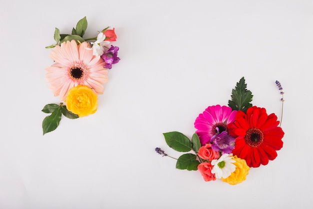 Beautiful flower composition on white