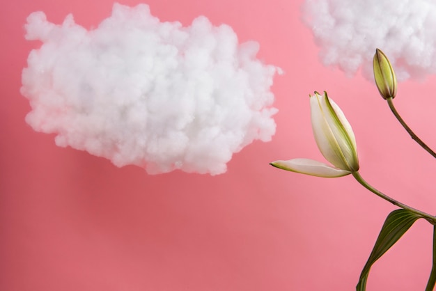 Beautiful flower and pink background