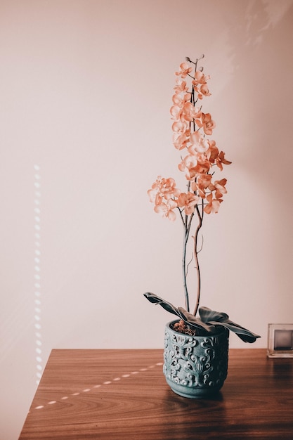 Free Photo beautiful flower in the pot on the desk