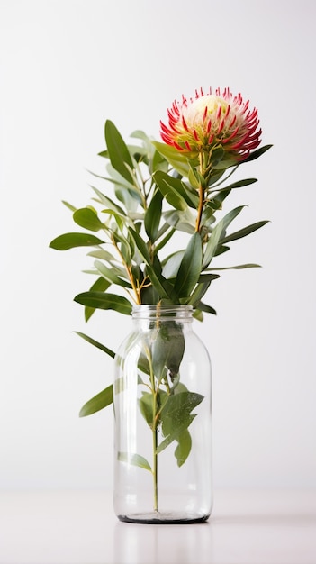 Beautiful flower vase  in studio