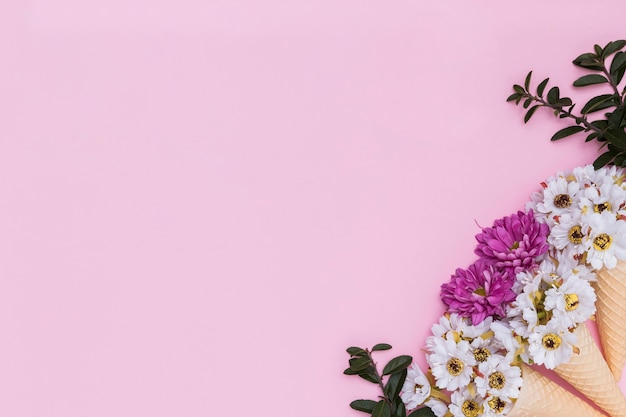 Beautiful flowers and cones composition