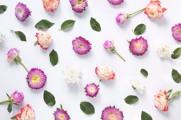 Free Photo beautiful flowers and green leaves on white background