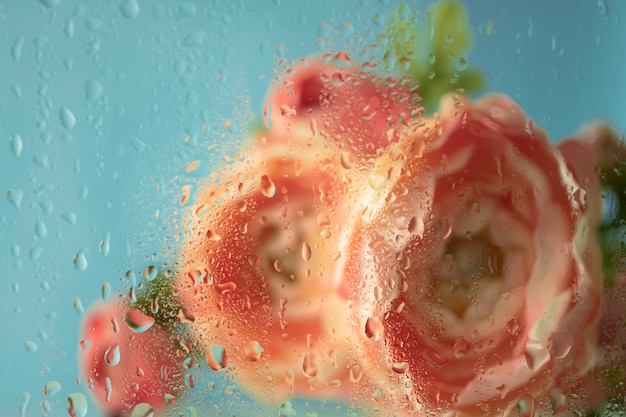 Free photo beautiful flowers seen behind humidity glass