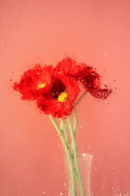 Beautiful flowers seen behind humidity glass