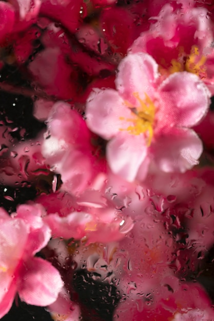 Beautiful flowers seen behind humidity glass