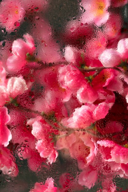 Beautiful flowers seen behind humidity glass