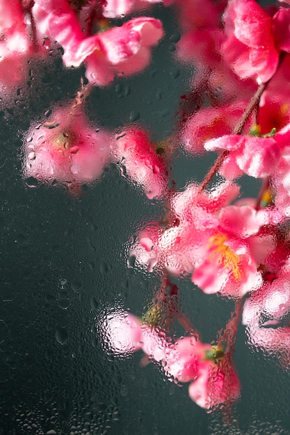 Free photo beautiful flowers seen behind humidity glass