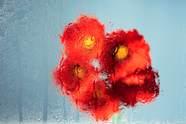 Free photo beautiful flowers seen behind humidity glass