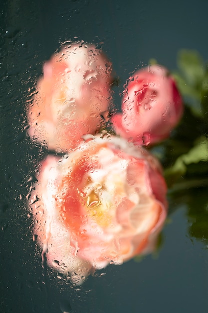 Free photo beautiful flowers seen behind humidity glass