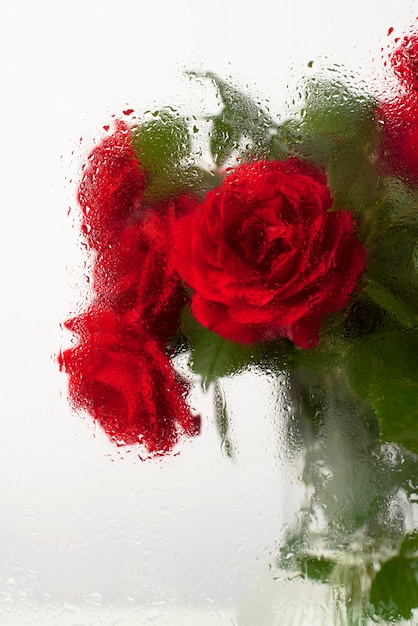 Beautiful flowers seen behind humidity glass