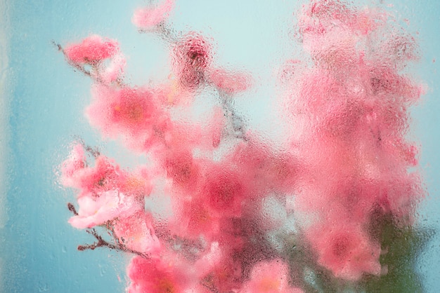 Beautiful flowers seen behind humidity glass