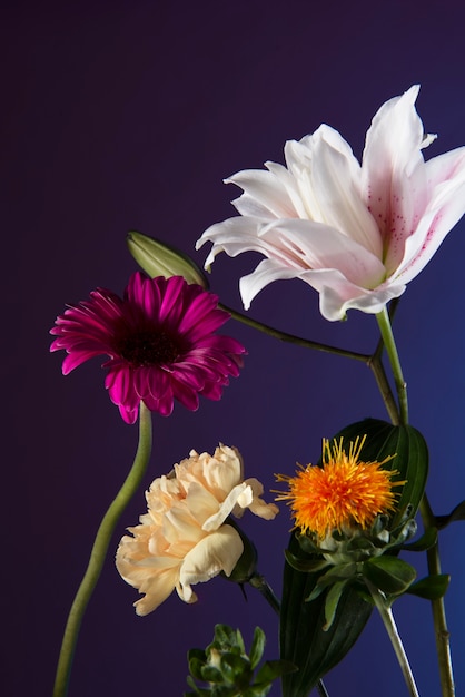 Free photo beautiful flowers with purple background