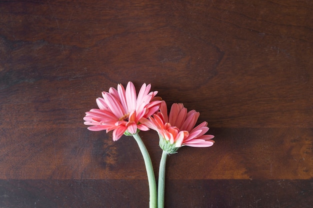 Beautiful flowers on wooden surface