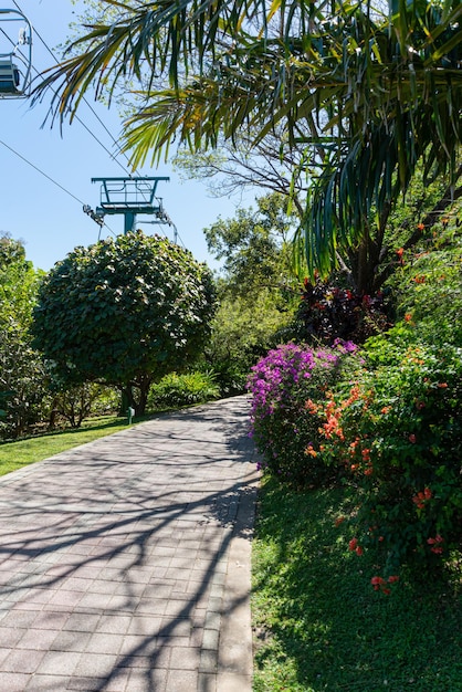 Free photo beautiful flowery garden on a sunny day