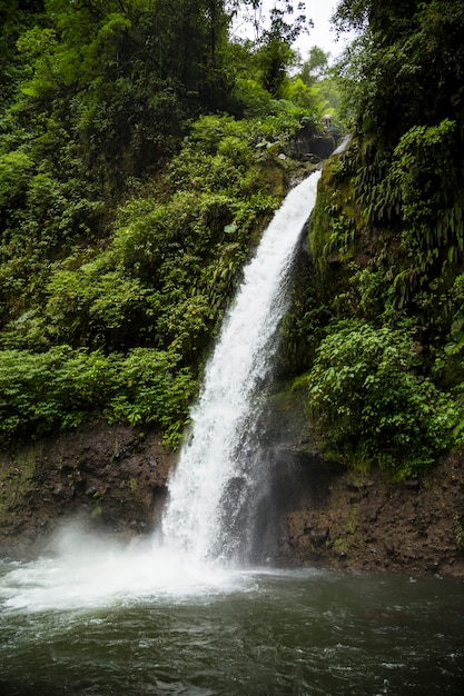 Beautiful flowing waterfall in rainforest at costa rica