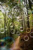 Free photo beautiful forest landscape and soap bubbles