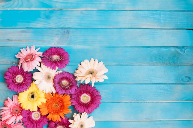 Free Photo beautiful fresh different flowers on table